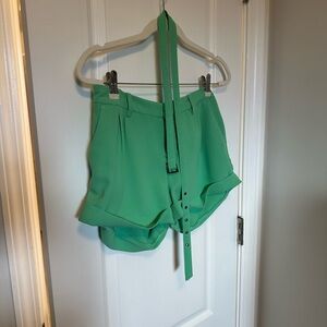 Joie Concetta Green Pleated Short